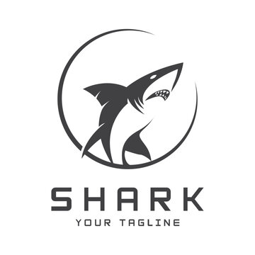 Unique and creative shark logo vector design. Wild Fish Vector Illustration