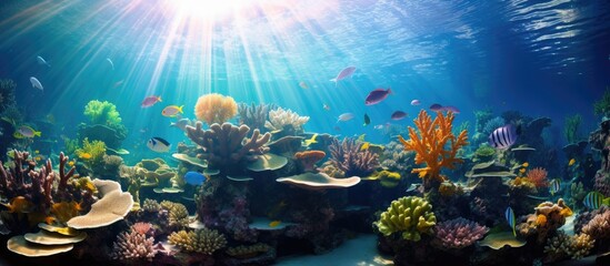 Naklejka na ściany i meble Tropical fish and coral under sunlight at a Singapore aquarium.