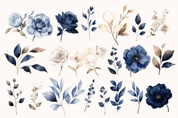 Poster background white isolated illustration botanic branches gold leaves flowers blue navy garden collection roses elements design watercolor set rose botanical bouquet tree branch © akkash jpg