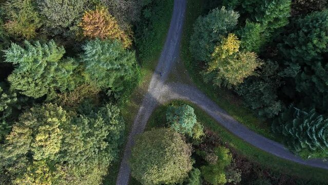 Top view of hiker walks on jogging track in the urban forest of Rapperswil-Jona in northeastern Switzerland