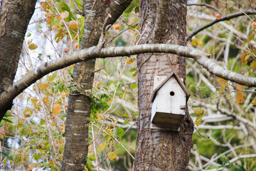 鳥の巣箱