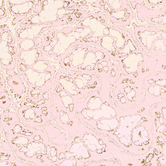 Abstract Marble texture. Fractal digital Art Background. High Resolution. Pink peach color marble texture with gold veins. Can be used for background or wallpaper
