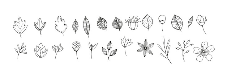 set of silhouettes of plants. set of tropical black leaves. Monstera, fig, palm. Flowers and leaves of the jungle. Vector illustration
