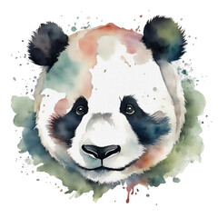 watercolour, panda bear