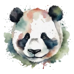 Crédence de cuisine en verre imprimé Crâne aquarelle watercolour, panda bear