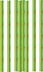 Green bamboo design. Bamboo vector design.