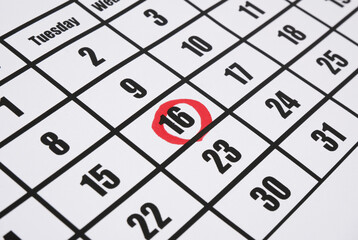 Calendar page with one marked day.