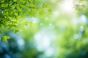 Blurred bokeh background of fresh green spring, summer foliage of tree leaves with blue sky and sun...