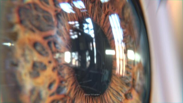 A house fly lands on eye. 4K animation. Scratchy and disturbing.