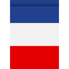 France flag or pennant isolated on white background. Pennant flag icon.