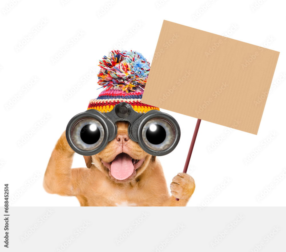 Poster happy mastiff puppy wearing warm hat looks through binoculars and shows empty placard above empty ba