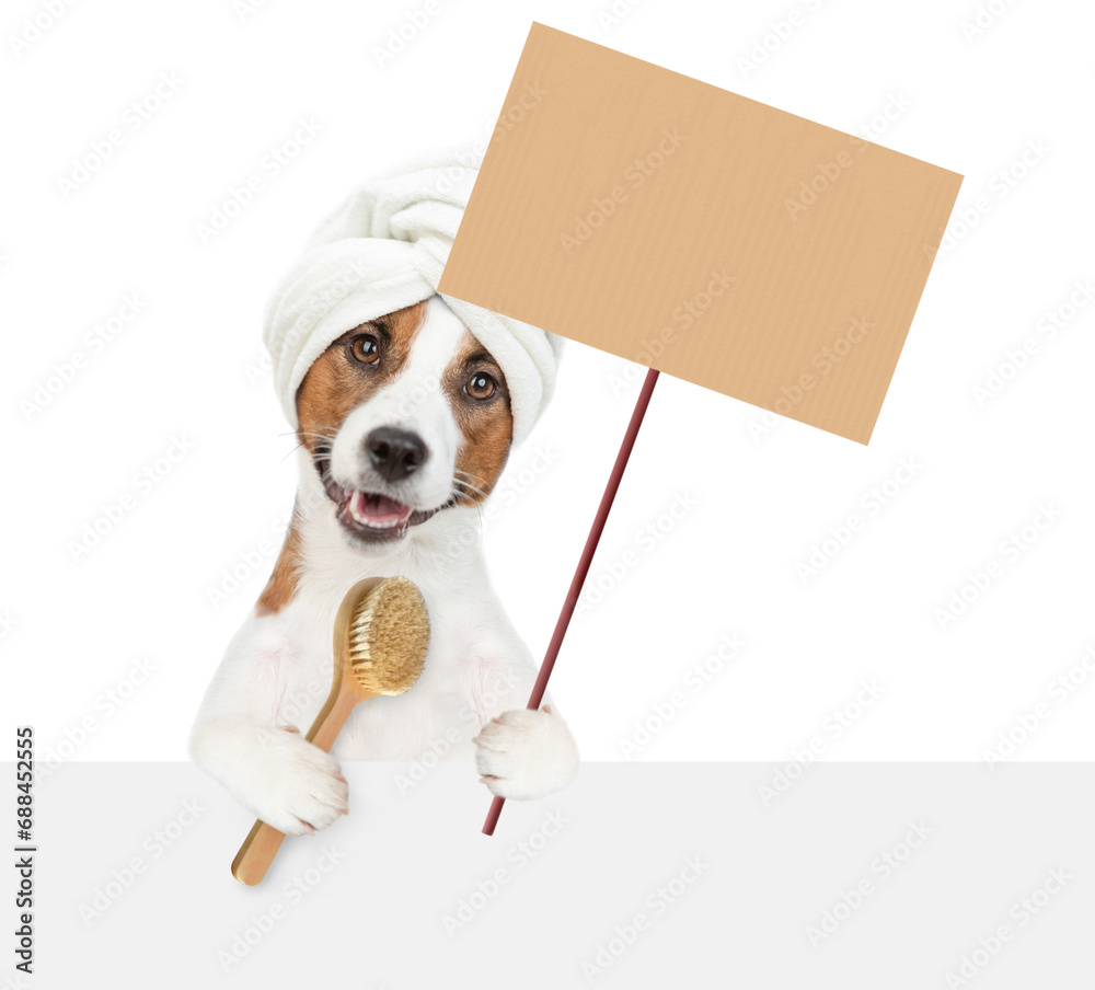 Poster funny jack russell terrier puppy with towel on it head holds bath brush and empty placard above empt