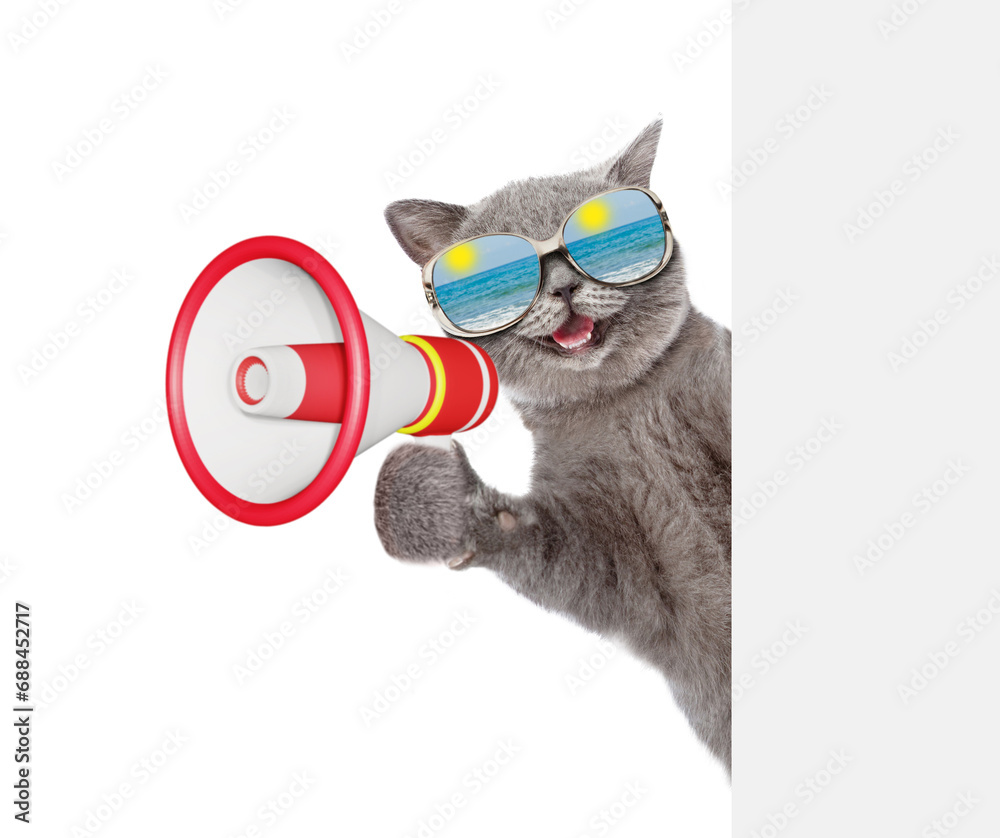 Poster happy cat wearing mirrored sunglasses looks from behind empty board and talks into megaphone. isolat