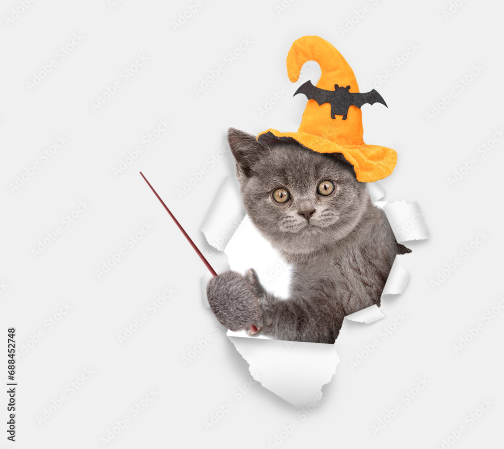 Poster happy cat puppy wearing hat for halloween looks through a hole in white paper and points away on emp