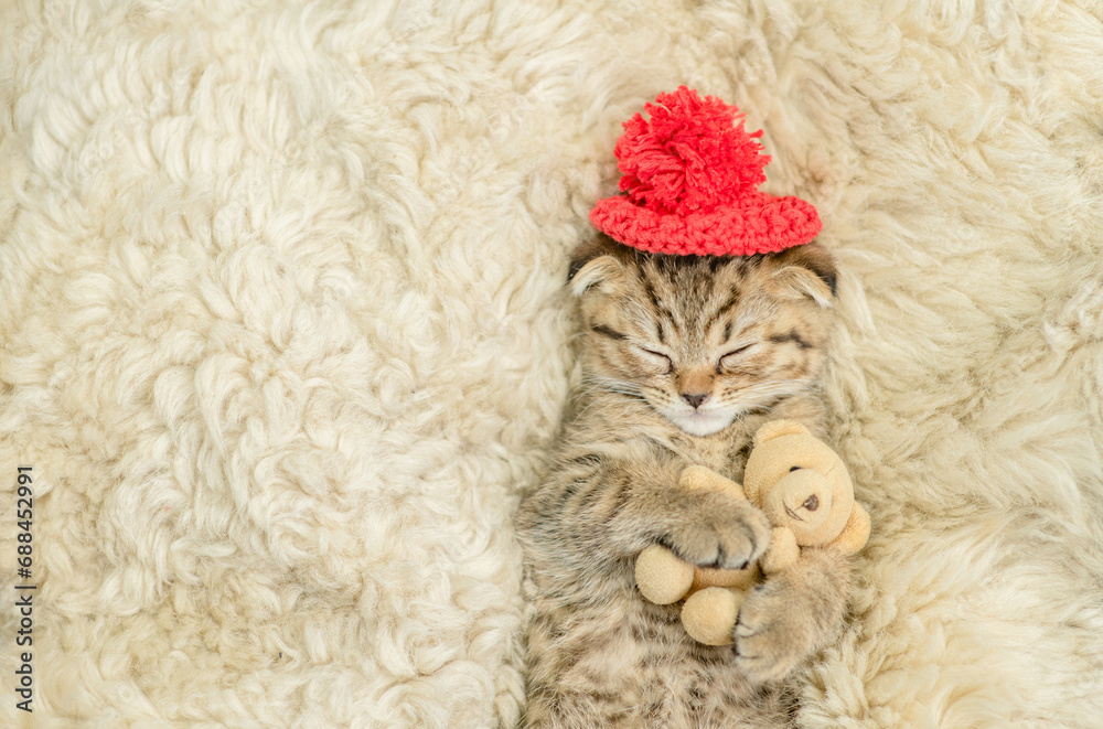 Poster cozy tiny fold tabby kitten wearing warm hat sleeps with favorite toy bear on the bed at home. top d