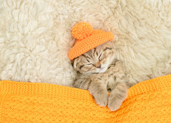 Cozy kitten wearing tiny warm hat sleeps under blue blanket on a bed at home. Top down view