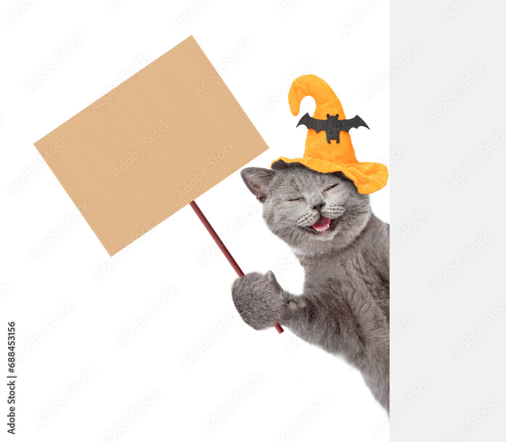 Poster happy cat wearing hat for halloween shows empty placard behind empty white banner. isolated on blue 