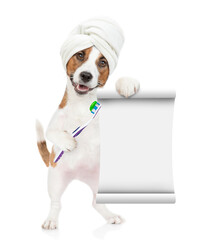 Happy Jack Russell terrier puppy with towel on it head holds toothbrush with toothpaste and shows...