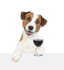 Happy jack russell terrier puppy holds glass of red wine and looks above empty white banner. isolated on white background