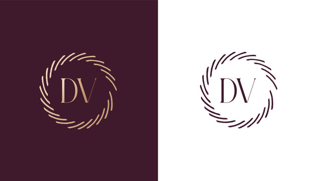 DV logo design vector image