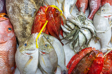 Colorful fish at a stand at a seafood market in Jeddah, Saudi Arabia.