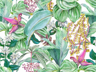 Tropical seamless pattern with banana flower and leaves, palm seeds, jasmine and medinilla. Botanical print with tropical plants - 688457735