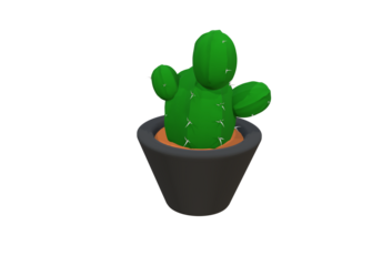 cactus in a pot