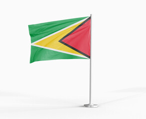 Guyana national flag on white background.