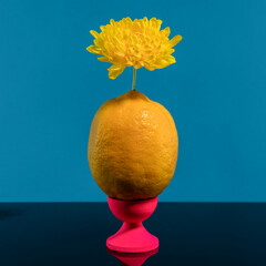 Composition with lemon and yellow flower on a blue background