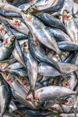 Fototapeta premium Colorful fish at a stand at a seafood market in Jeddah, Saudi Arabia.