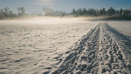 tracks in the snow, beautiful winter morning in Rapperswil Jona