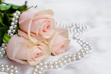 The branch of pink rose on white fabric background 