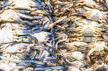 Crabs at a stand at a seafood market in Jeddah, Saudi Arabia.