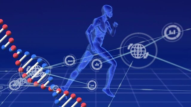 Animation of dna strand and scientific data processing with connections over running human