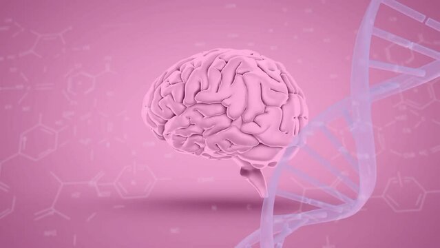 Animation of dna strand, human brain and scientific data processing