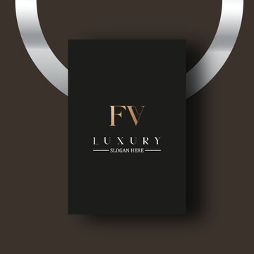 FV logo design vector image