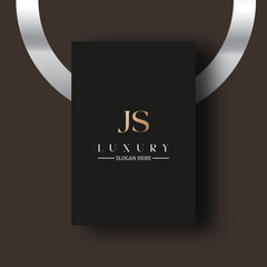 JS logo design vector image