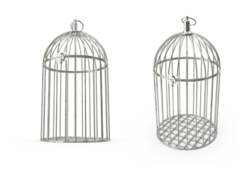 Fotobehang silver cage for birds on transparent background © mika