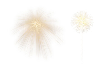 fireworks splash on transparent background