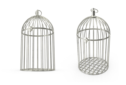 silver cage for birds on transparent background
