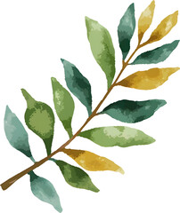 water color Digital painting of leave on transparent background