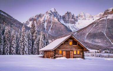 Winter Wonderland Retreat, A Tranquil Cabin in the Heart of Snowy Majesty