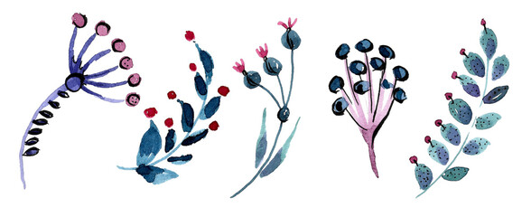 Fantasy botanical illustration.Set of magic branches in the form of umbrellas with red and blue berries.Hand-drawn watercolor illustration on a white background for postcard design, print on fabric.