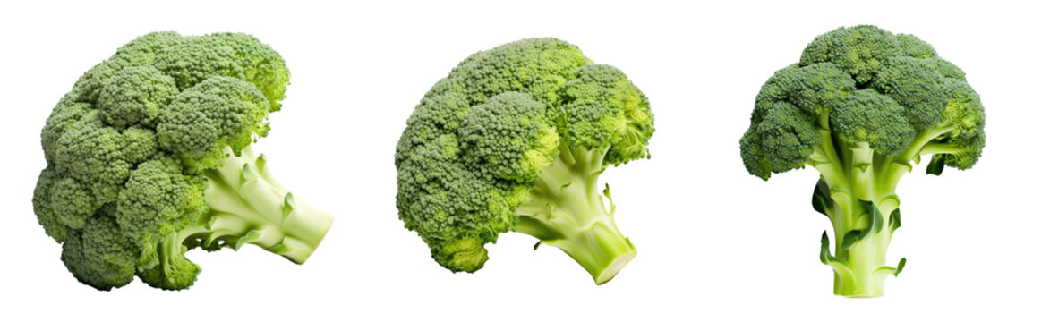 set collection of broccoli isolated on white or transparent png