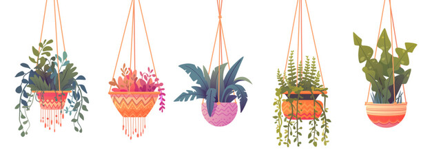 Indoor plants in hanging pots - obrazy, fototapety, plakaty