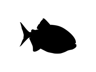 Piranha Fish Silhouette, can use for Logo Gram, Website, Art Illustration, Pictogram, Icon or Graphic Design Element. Vector Illustration 