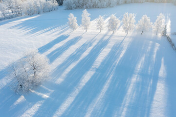Aerial view to winter landscape. Snow-covered trees at sunset.
Aerial top down view of frosty trees in winter in 
The concept of Christmas