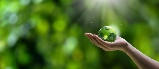 Hand holding crystal globe in green forest. ESG concept for environment, society and governance in sustainable and ethical business. green energy and growth © Dee karen