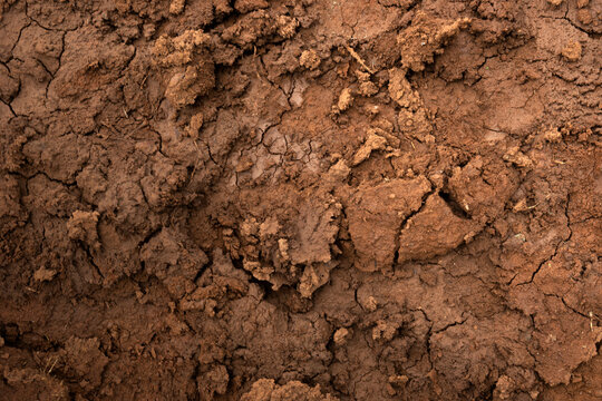 Closeup view of dry cracked soil