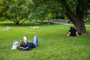 People resting and working on the lawn in the park